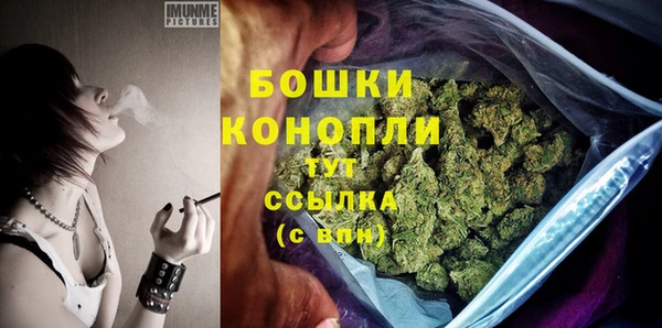 ГАЛЛЮЦИНОГЕННЫЕ ГРИБЫ Протвино
