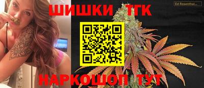 стаф Дубна