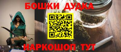 стаф Дубна