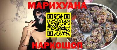 стаф Дубна