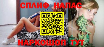 молекула духа Донской