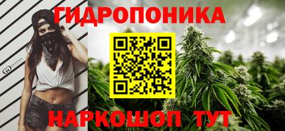 стаф Дубна