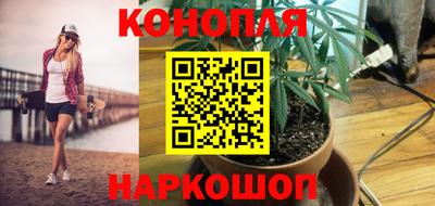 молекула духа Донской
