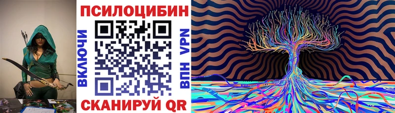 Галлюциногенные грибы MAGIC MUSHROOMS  цена наркотик  Кыштым 