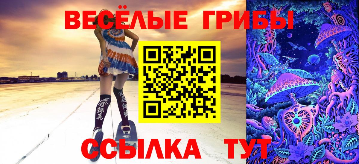 Псилоцибиновые грибы Psilocybe  Вход с VPN  Кыштым 