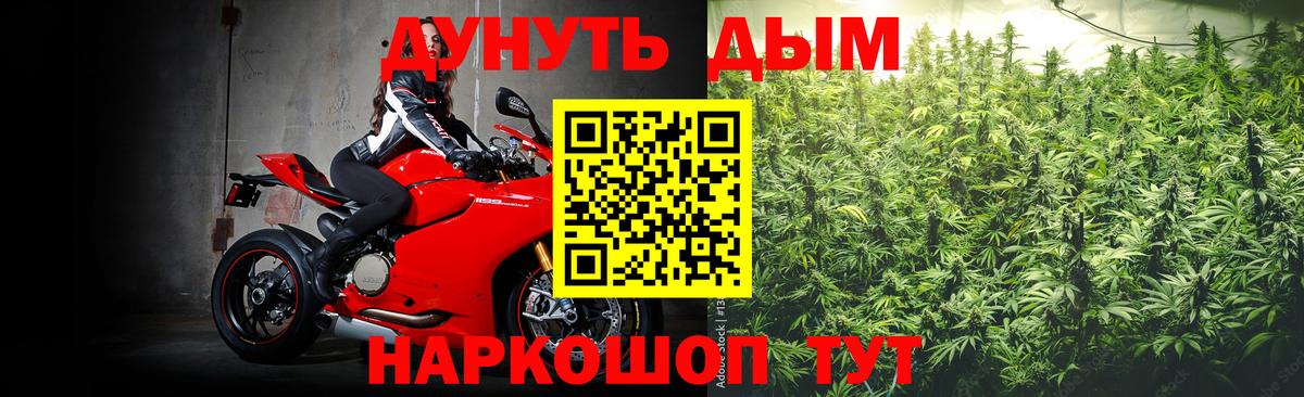 Конопля OG Kush Кыштым